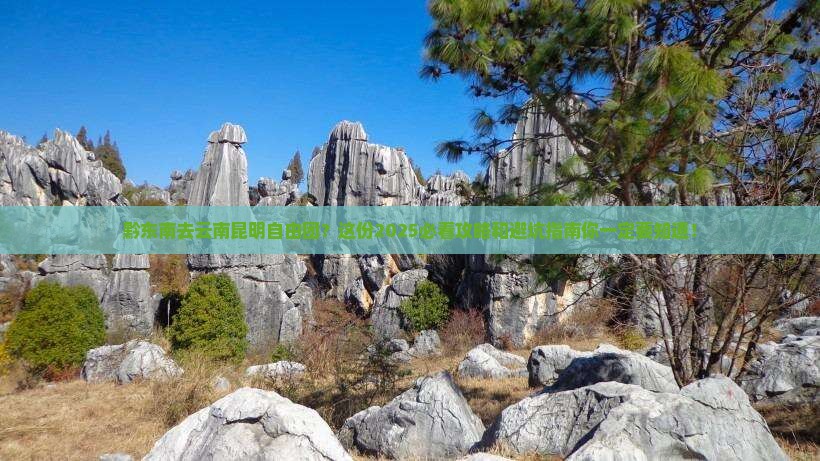 黔东南去云南昆明自由团