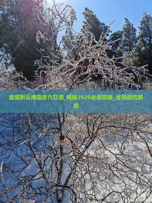 武威到云南温泉六日游