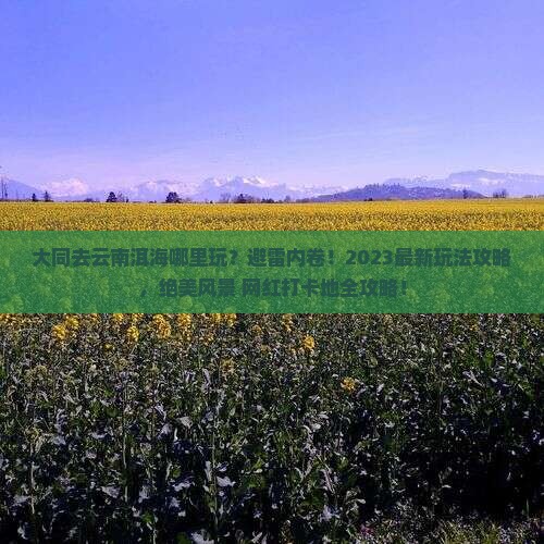 大同去云南洱海哪里玩