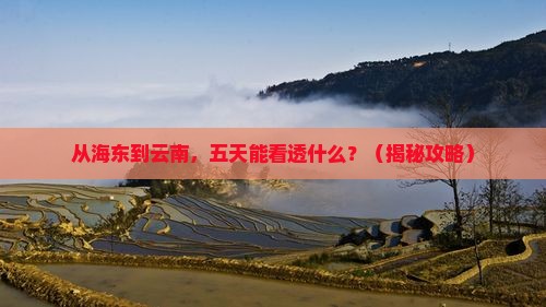 海东到云南五日游