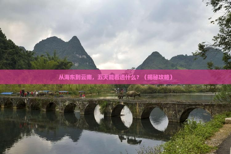海东到云南五日游
