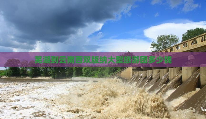 芜湖到云南西双版纳大型旅游团