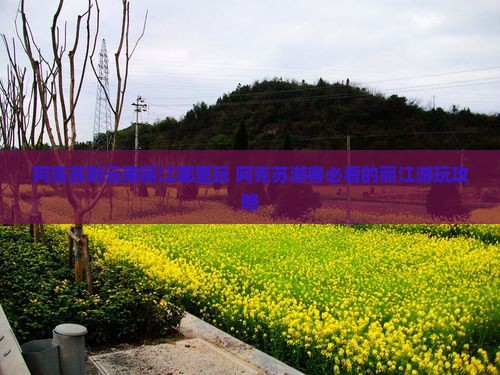 阿克苏到云南丽江哪里玩