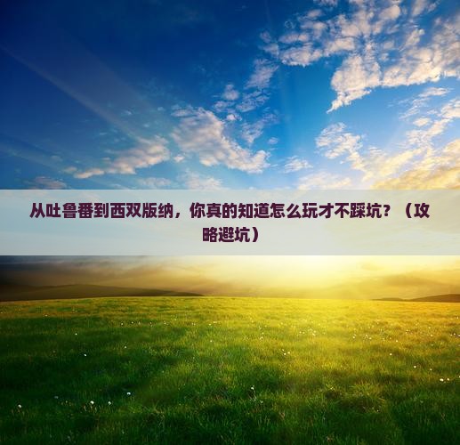 吐鲁番去云南西双版纳景点