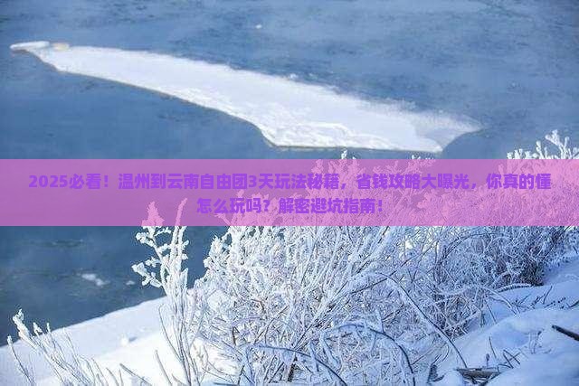 温州到云南自由团