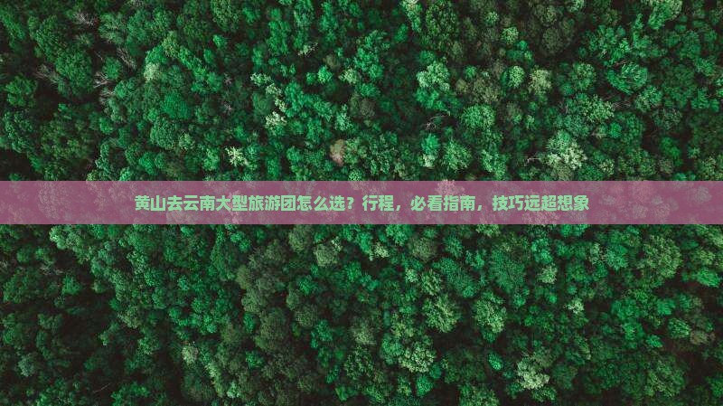 黄山去云南大型旅游团