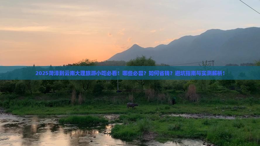 菏泽到云南大理旅游小吃