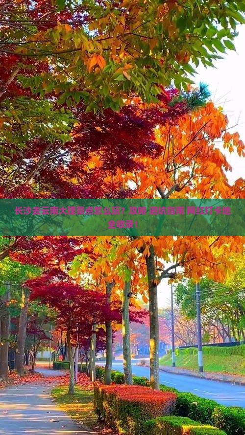 长沙去云南大理景点