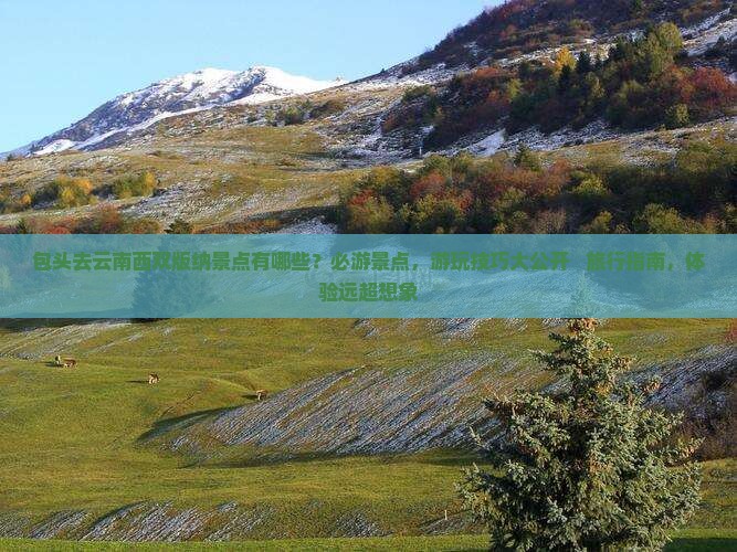 包头去云南西双版纳景点