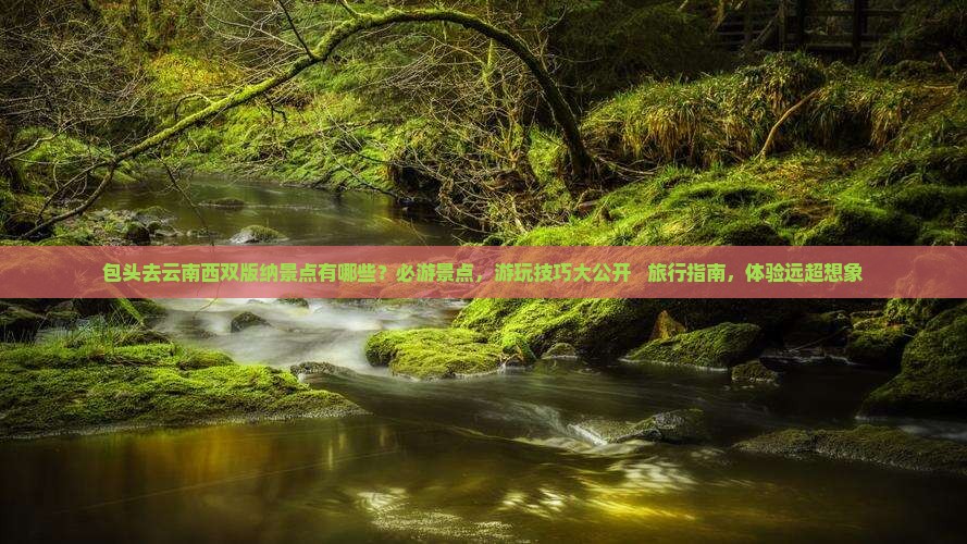 包头去云南西双版纳景点