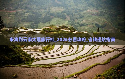 来宾到云南大理旅行社