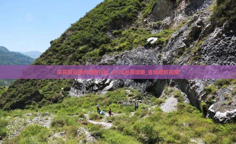 来宾到云南大理旅行社