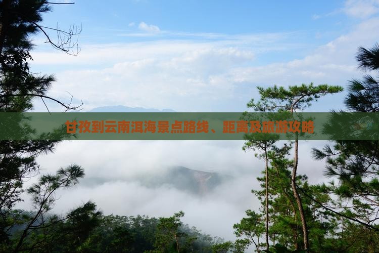 甘孜到云南洱海景点