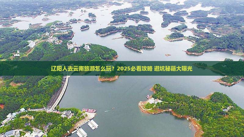 辽阳去云南大型旅游团