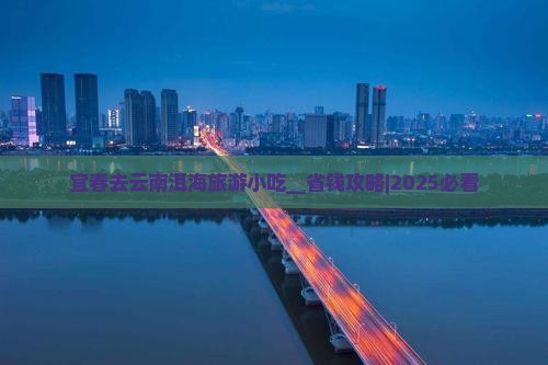 宜春去云南洱海旅游小吃