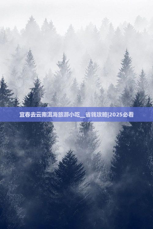 宜春去云南洱海旅游小吃