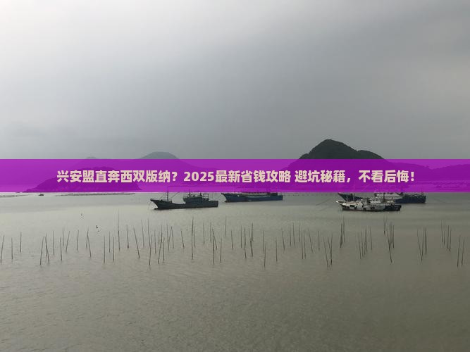 兴安盟到云南西双版纳旅行社