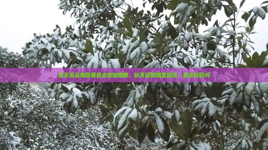 秋天去云南昆明景点