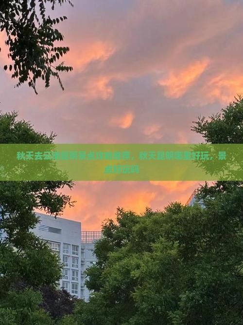 秋天去云南昆明景点