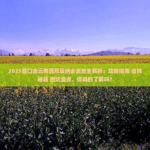 营口去云南西双版纳必去地