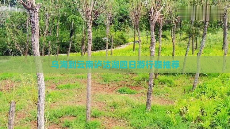 乌海到云南泸沽湖四日游行程推荐