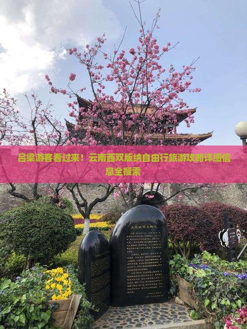 吕梁游客看过来！云南西双版纳自由行旅游攻略详细信息全搜索