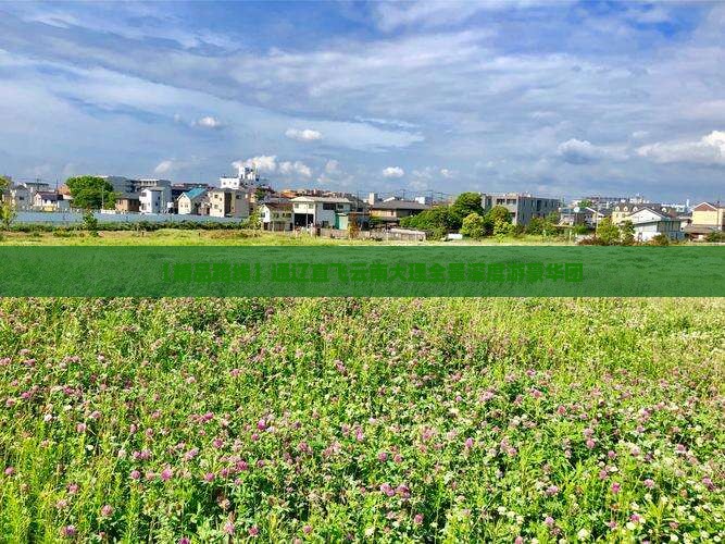 【精品路线】通辽直飞云南大理全景深度游豪华团
