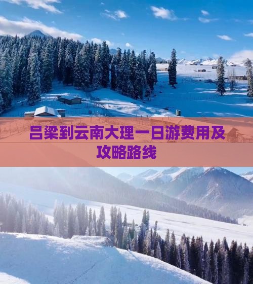 吕梁到云南大理一日游费用及攻略路线