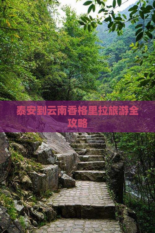 泰安到云南香格里拉旅游全攻略