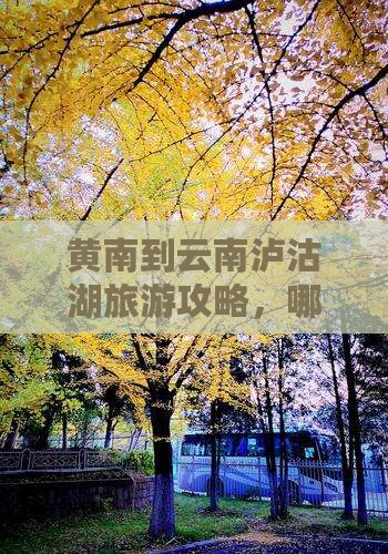 黄南到云南泸沽湖旅游攻略，哪里玩最精彩？