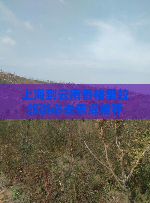 上海到云南香格里拉旅游必去景点推荐