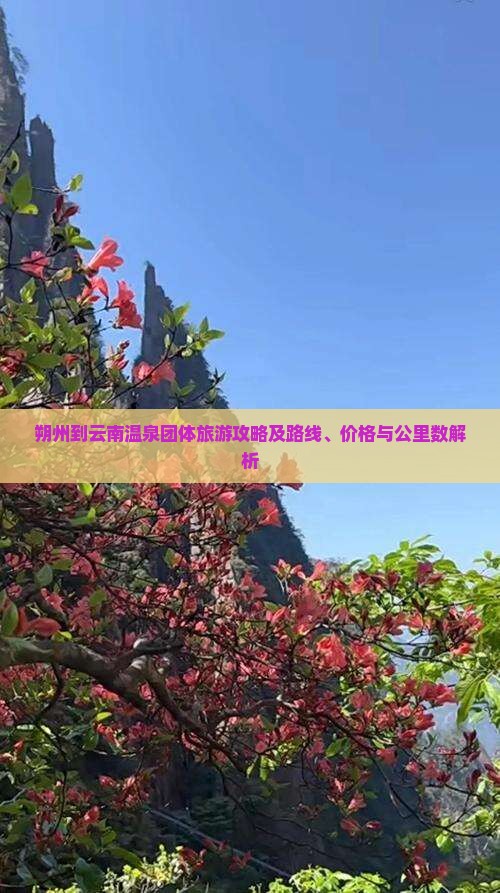 朔州到云南温泉团体旅游