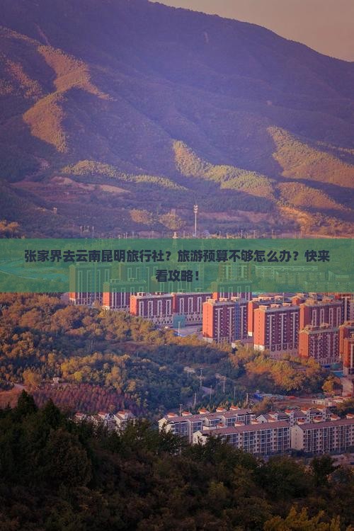 张家界去云南昆明旅行社