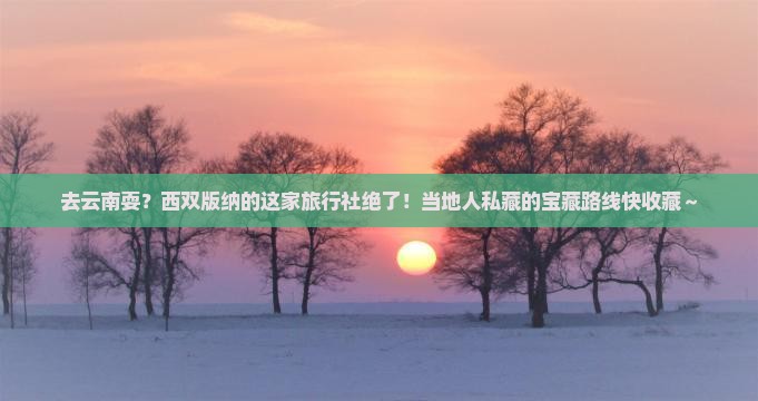 西双版纳去云南旅行社