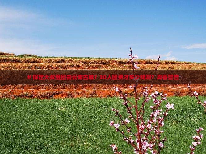 保定去云南古城大型旅游团