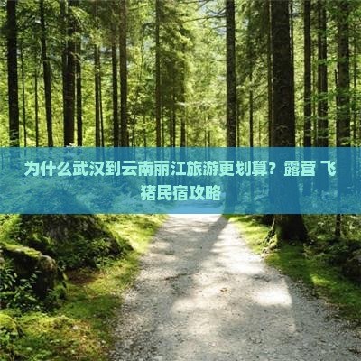 武汉去云南丽江旅游