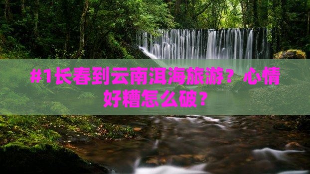 长春到云南洱海哪里玩