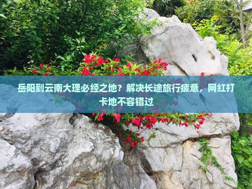 岳阳到云南大理必去地