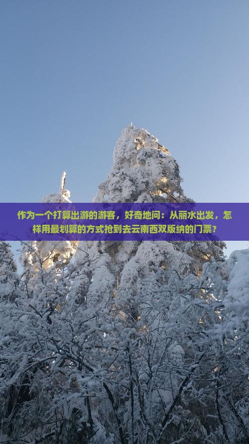 丽水去云南西双版纳门票
