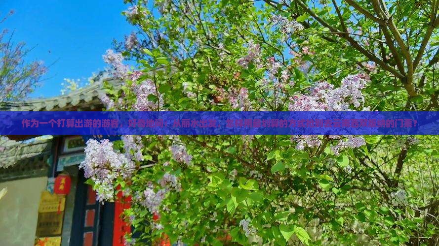 丽水去云南西双版纳门票