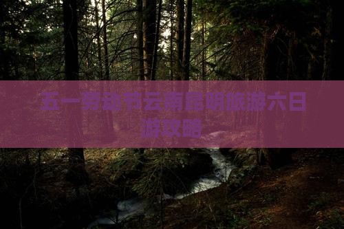劳动节到云南昆明六日游