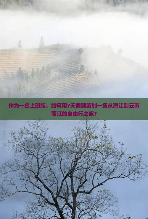 潜江到云南丽江旅行社
