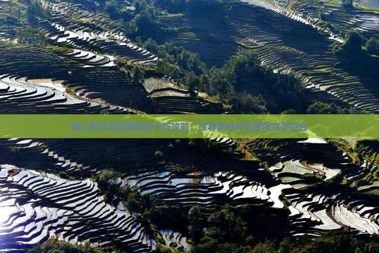 铜仁到云南洱海旅游小吃