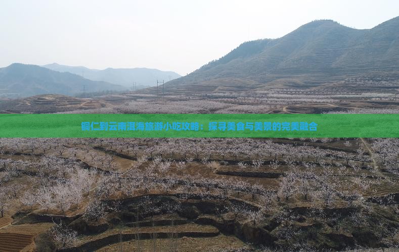 铜仁到云南洱海旅游小吃