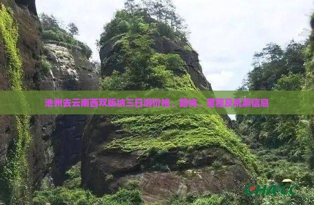 池州去云南西双版纳三日游