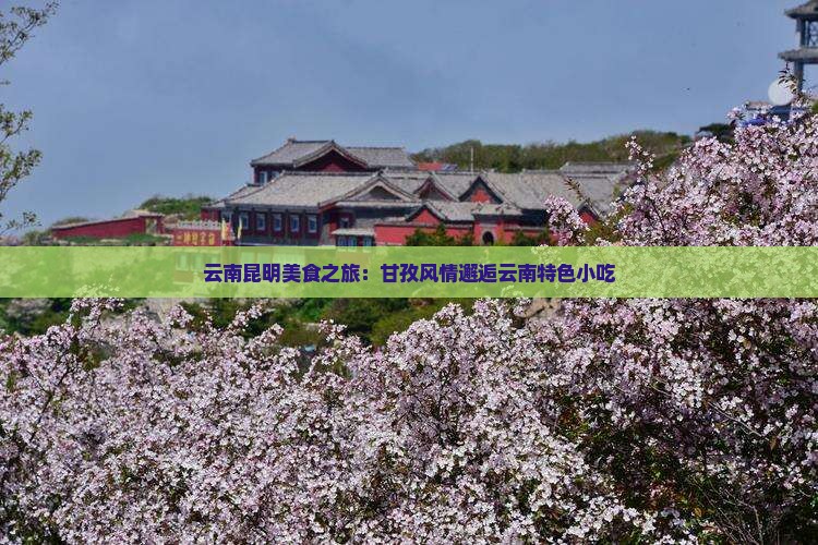甘孜到云南昆明旅游小吃
