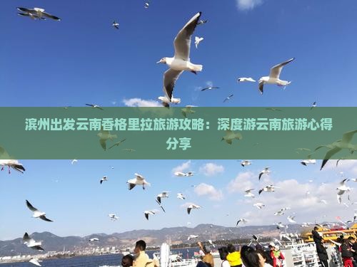 滨州到云南香格里拉旅游