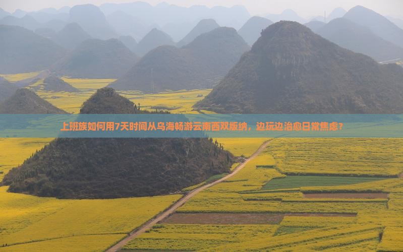 乌海到云南西双版纳个人游