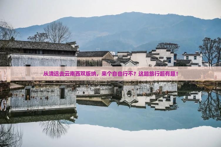 清远到云南西双版纳自由团