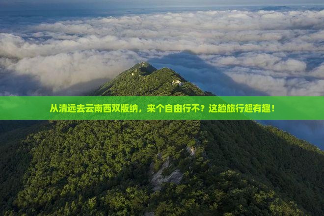 清远到云南西双版纳自由团